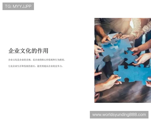 深入探讨马来西亚云顶有限公司的企业文化与核心价值观体系建设